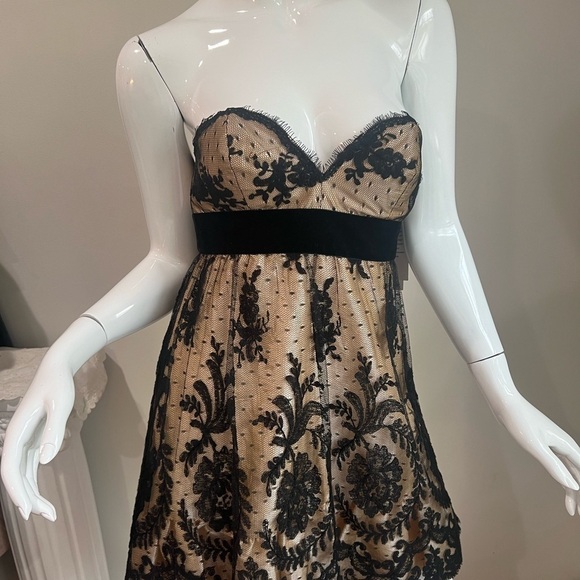 NWT BASIX II Lace Mini Dress - Picture 6 of 8